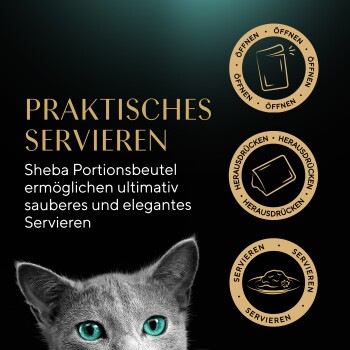 Das Bild zeigt eine graue Katze mit auffälligen blau-grünen Augen neben einem Text, der Sheba-Portionsbeutel für eine saubere und elegante Servierung bewirbt.