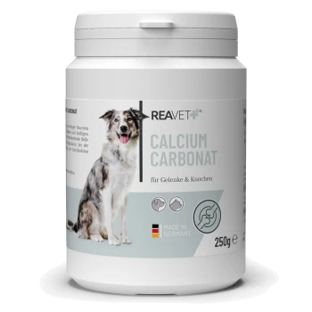 Behälter mit REAVET Calciumcarbonat für Hunde, das die Gelenk- und Knochengesundheit fördert, mit einem glücklichen Hund auf dem Etikett.