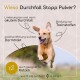 Ein glücklicher Hund, der draußen läuft, mit Text über die Vorteile von "Durchfall Stopp Pulver" für Durchfalllinderung und Verdauungsgesundheit, auch für Katzen.