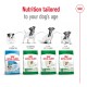 Royal Canin dog food bags for Puppy, Mini Adult, Mini Adult 8+, and Mini Ageing 12+, labeled "Nutrition for your dog's age."
