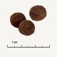 Country Selection Mini Adult Scandinavia 1 kg