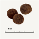 Trois pellets de nourriture pour animaux de compagnie ronds et bruns sur un fond clair, avec une règle indiquant une échelle de 1 cm.