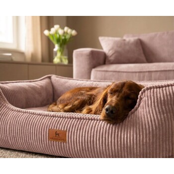 Brauner Hund schläft in rosa Cord-Haustierbett mit Lederpatch mit der Aufschrift 'KNUFFELWUFF'.