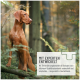 Hundefutterverpackung für Hunde, "REAVET Gemüse Kräuter Variation," mit einer Wolf-Illustration und Details zu Erbsen, Karotten und Nährstoffen.