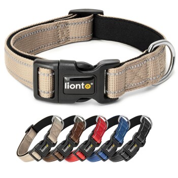 Beige Haustierhalsband mit einer schwarzen Schnalle und einem metallenen D-Ring, mit dem Markennamen "lionto" auf der Schnalle.