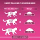 Infografik, die die empfohlenen täglichen Fütterungsmengen für Kätzchen basierend auf dem Alter zeigt: 6-12 Wochen (50-65g), 12-26 Wochen (65-75g), 26-52 Wochen (75-70g).