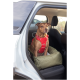 Ein brauner Hund mit einem roten Geschirr sitzt auf einer grünen Haustiermatte im Rücksitz eines Autos und schaut aus der offenen Tür.
