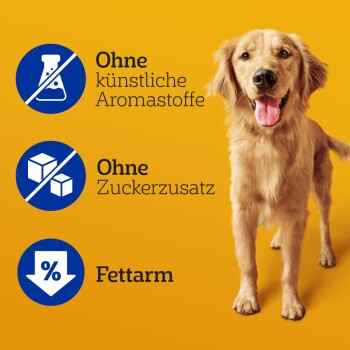 Golden Retriever vor einem hellgelben Hintergrund, mit dem Text "Ohne künstliche Aromastoffe", "Ohne Zuckerzusatz" und "Fettarm."