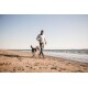 Eine Person führt einen glücklichen Hund an einem sandigen Strand entlang, mit dem Ozean im Hintergrund und einem klaren blauen Himmel darüber.