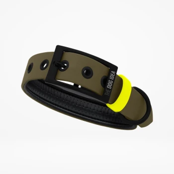 Ein stilvolles Hundehalsband in olivgrün mit einer schwarzen Schnalle und einem leuchtend gelben Akzent, mit dem Text 'THE DOG IDEA.'