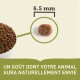 Gros plan sur des croquettes pour animaux de compagnie dans un bol, présentant un morceau de 6,5 mm et le texte : "UN GOÛT DONT VOTRE ANIMAL AURA NATURELLEMENT ENVIE."