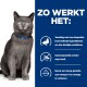 Grijze kat met groene ogen en een blauwe halsband, naast tekst die de voordelen van huisdiervoeding beschrijft: beperkte ingrediënten, geen soja, hoog in omega-3 en omega-6.