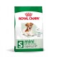 SHN Mini Ageing 12+ 3,5 kg