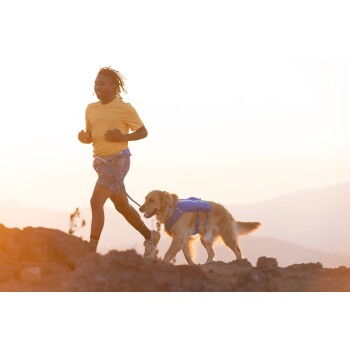 Eine Person in einem gelben Shirt und gemusterten Shorts joggt bei Sonnenuntergang neben einem Golden Retriever mit einem blauen Geschirr.