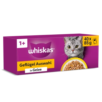 Lila Whiskas-Multipackbox mit Foto einer grauen getigerten Katze; Text 'whiskas', 'Geflügel Auswahl in Gelee', '40 x 85 g', '1+'.