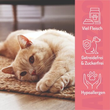 Rosa und schwarzer Behälter mit der Aufschrift "SCHWING DIE HUFE" und Hundepfotenabdruck, mit glutenfreien Pferdefleisch-Trainingssnacks für Hunde.
