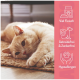 Rosa und schwarzer Behälter mit der Aufschrift "SCHWING DIE HUFE" und Hundepfotenabdruck, mit glutenfreien Pferdefleisch-Trainingssnacks für Hunde.