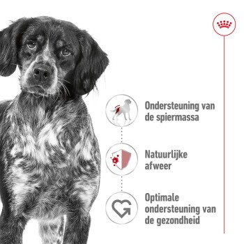 Close-up van een bezorgde gevlekte hond met tekst: "Spiermassa ondersteuning," "Natuurlijke afweer," "Optimale gezondheid."