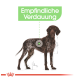 Illustration eines braun-weißen Hundes mit dem Text "Empfindliche Verdauung" darüber, der auf eine empfindliche Verdauung hinweist.