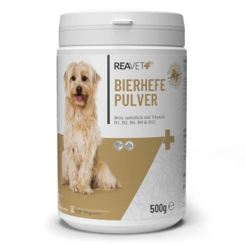 Behälter mit REAVET Bierhefe-Pulver für Hunde, mit einem Golden Retriever auf dem Etikett, das die Vitamine B1, B2, B6, B9 und B12 hervorhebt.