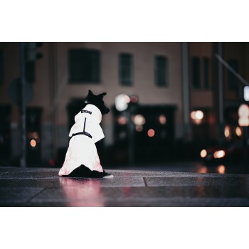 Ein schwarzer Hund trägt einen reflektierenden weißen Regenmantel mit dem Etikett "PAIKKA" und sitzt auf einer nassen Straße bei Nacht, beleuchtet von Stadtlichtern.