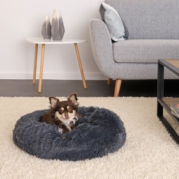 Ein kleiner braun-weißer Chihuahua entspannt sich in einem grauen, flauschigen Hundebett auf einem hellen Teppich, mit einem modernen grauen Sofa im Hintergrund.