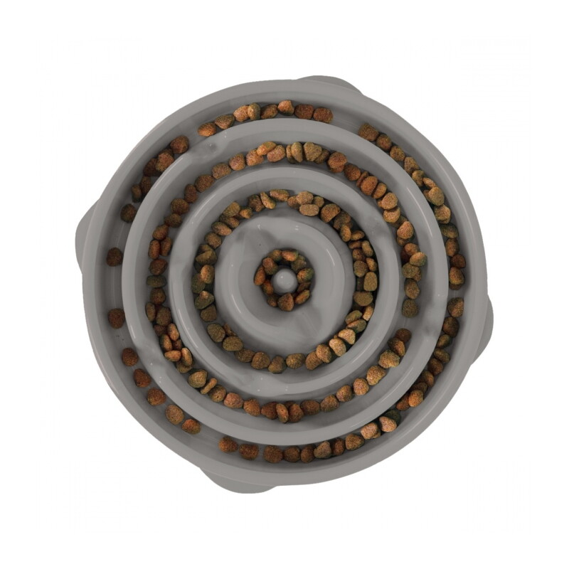 Outward Hound Fun Feeder Slo Bowl