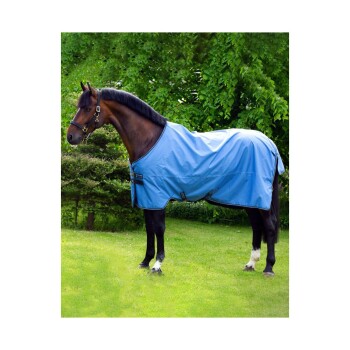 Ein braunes Pferd mit einer blauen Decke steht auf grünem Gras, umgeben von Bäumen, und zeigt sein elegantes Profil.