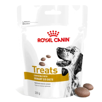 Emballage de friandises pour chien Royal Canin présentant une illustration de chien noir et blanc, étiqueté 'Friandises compatibles avec les régimes urinaires S/O,' 230 g.