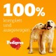 Zwei verspielte Golden Retriever Welpen sind vor einem leuchtend orangefarbenen Hintergrund zu sehen, mit dem Text "100% komplett und ausgewogen" und dem Pedigree-Logo.