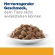 Weißer Teller mit Nassfutterstücken in Soße; deutscher Text: 'Hervorragender Geschmack, dem Tiere nicht widerstehen können'.