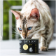 Eine Nahaufnahme einer Bengal-Katze mit auffälligen blauen Augen, die eine Dose "CAT'S LOVE" Katzenfutter schnüffelt, gekennzeichnet mit "Huhn" und "Erwachsen".