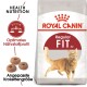 Royal Canin Regular Fit Katzenfutterbeutel mit einer verspielten orangefarbenen Katze, mit Text, der 'Health Nutrition' und 'Optimales Nährstoffprofil' hervorhebt.