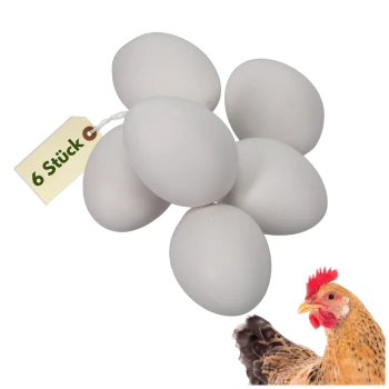 Sechs weiße Eier mit einem Schild mit der Aufschrift „6 Stück“ und einer braunen Henne in der unteren rechten Ecke.
