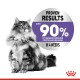 A fluffy cat sits proudly beside a circular graphic stating "PROVEN RESULTS" and "OVER 90% OF OWNERS REPORTED CONTROLLED BEGGING IN 4 WEEKS."