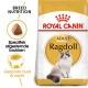 Royal Canin Ragdoll kattenvoerzak met een afbeelding van een Ragdoll kat, met tekst die de voeding voor het ras en voordelen voor een gezonde huid en vacht benadrukt.