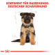 Deutscher Schäferhund Welpe mit flauschigem Fell, umgeben von Skizzen und dem Text "SORTIMENT FÜR RASSEHUNDE: DEUTSCHER SCHÄFERHUND."