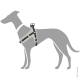 Eine Silhouette eines Hundes, der ein schwarz-graues Geschirr trägt, das das Design und die Passform des Geschirrs zeigt.