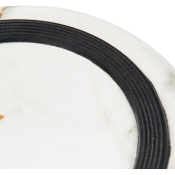 Nahaufnahme einer Haustierfutterschüssel mit schwarzem Rand und weißem Inneren, mit einem kleinen orangefarbenen Fleck.