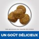 Image de croquettes pour animaux avec quatre pièces texturées. Texte : "UN GOÛT DÉLICIEUX" et "Taille approximative des croquettes 10,5 x 12,5 mm."