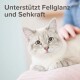 Eine Nahaufnahme einer flauschigen, hellen Katze mit blauen Augen, die auf einer weichen Oberfläche sitzt, begleitet von dem Text "Unterstützt Fellglanz und Sehkraft."