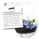 Produktbild von Schwarzkümmelöl mit schwarzen Samen und einer blauen Blume, mit Text, der die Premiumqualität und die kaltgepresste Extraktion hervorhebt.