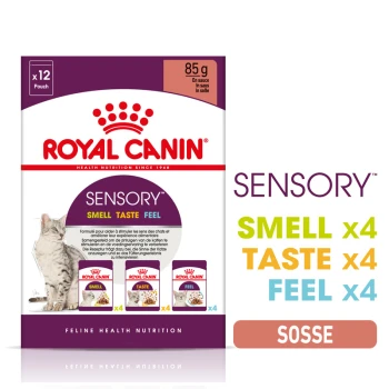 Royal Canin Sensory Katzenfutterverpackung mit einer grauen Katze, die 'GERUCH', 'GESCHMACK' und 'GEBÜHREN' mit 12 Beuteln zu je 85 g hervorhebt.