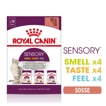 Royal Canin Sensory Katzenfutterverpackung mit einer grauen Katze, die 'GERUCH', 'GESCHMACK' und 'GEBÜHREN' mit 12 Beuteln zu je 85 g hervorhebt.