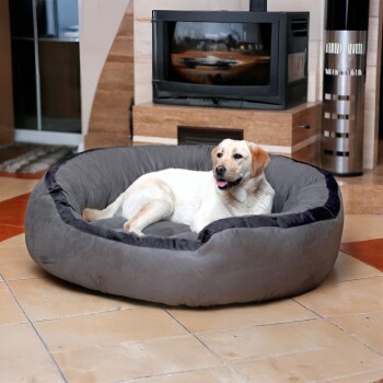 Labrador Retriever liegt auf einem großen grauen gepolsterten Hundebett in einem Wohnzimmer mit Kamin.