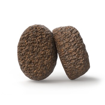 Zwei runde braune Kroketten (Trockenfutter) mit strukturierter Oberfläche auf neutralem Hintergrund.