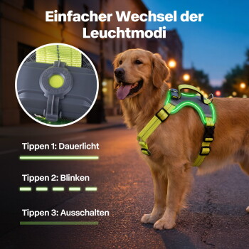 Neongelb-graues Hundegeschirr mit USB‑C wiederaufladbarem LED-Lichtmodul und USB-Kabel; Schriftzug 'Type C Rechargeable' sichtbar