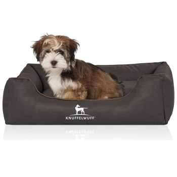 Kleiner flauschiger braun-weißer Welpe sitzt in einem dunkelbraunen Hundebett mit 'KNUFFELWUFF'-Logo.