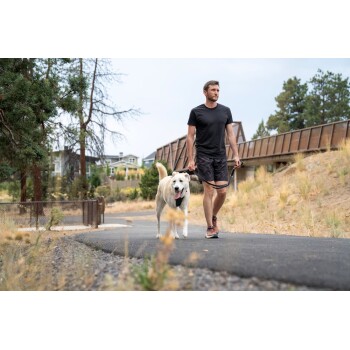 Ein Mann führt einen glücklichen, hellen Hund auf einem gepflasterten Weg, umgeben von Bäumen und Gras, mit Häusern im Hintergrund.