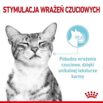 Zadowolony kot z zamkniętymi oczami, obok polskiego tekstu: "STYMULACJA WRAŻEŃ CZUCIOWYCH" i "Pobudza wrażenia czuciowe."